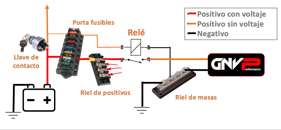 Alimentacion 1